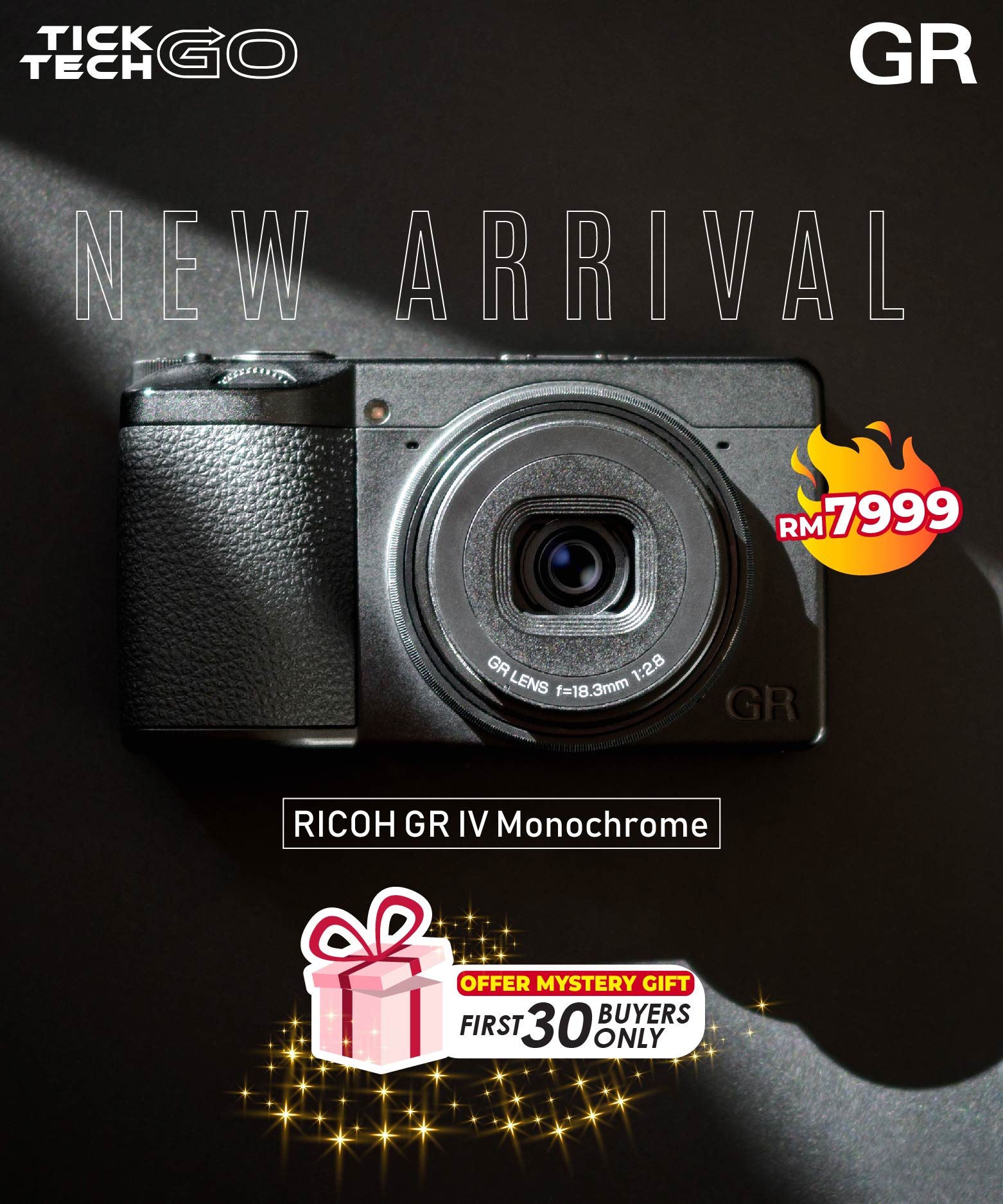 Ricoh GF-2 External Flash – Tick Tech Go
