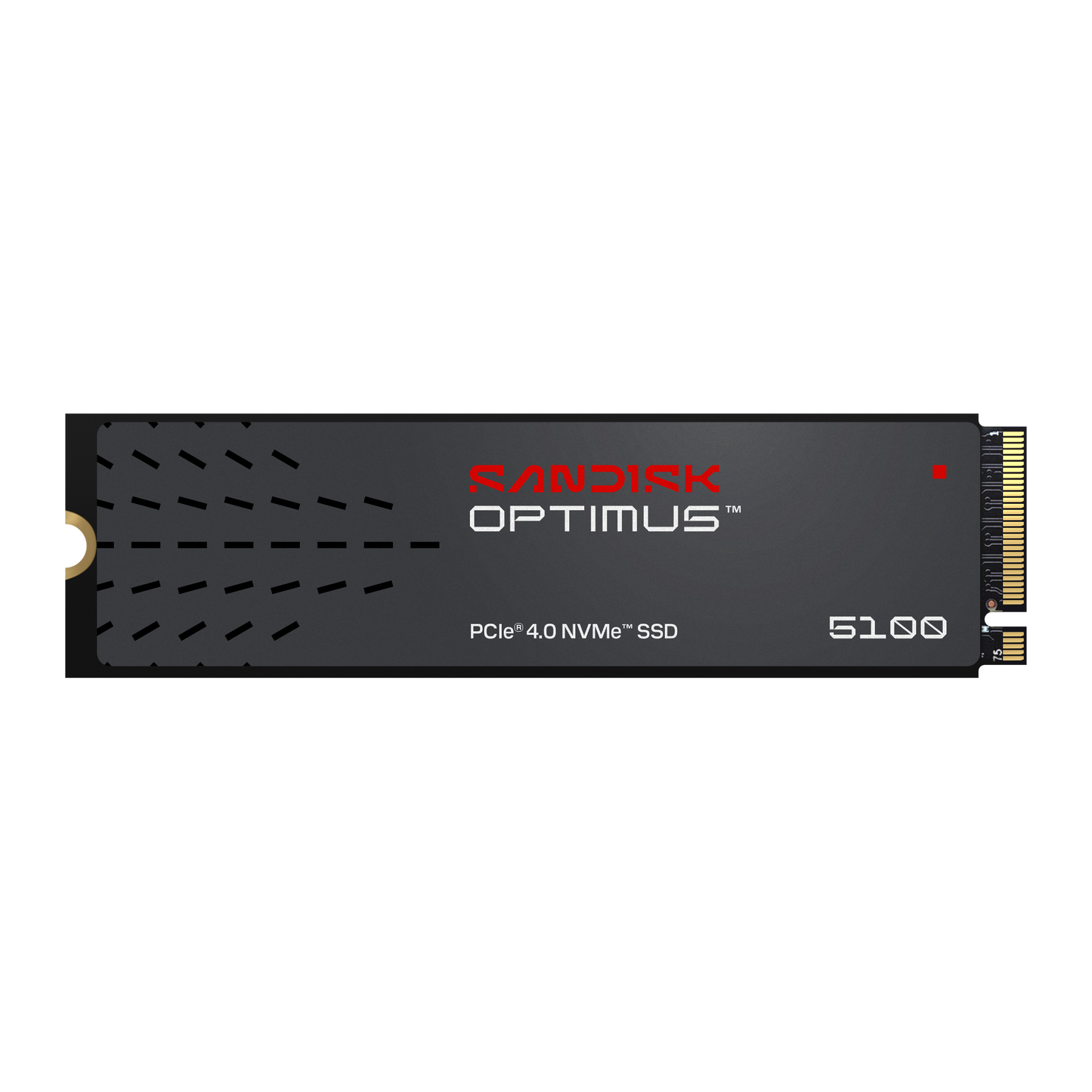 SANDISK Optimus™ 5100 NVMe™ SSD (500GB/ 1TB/ 2TB)-Data Storage-futuromic
