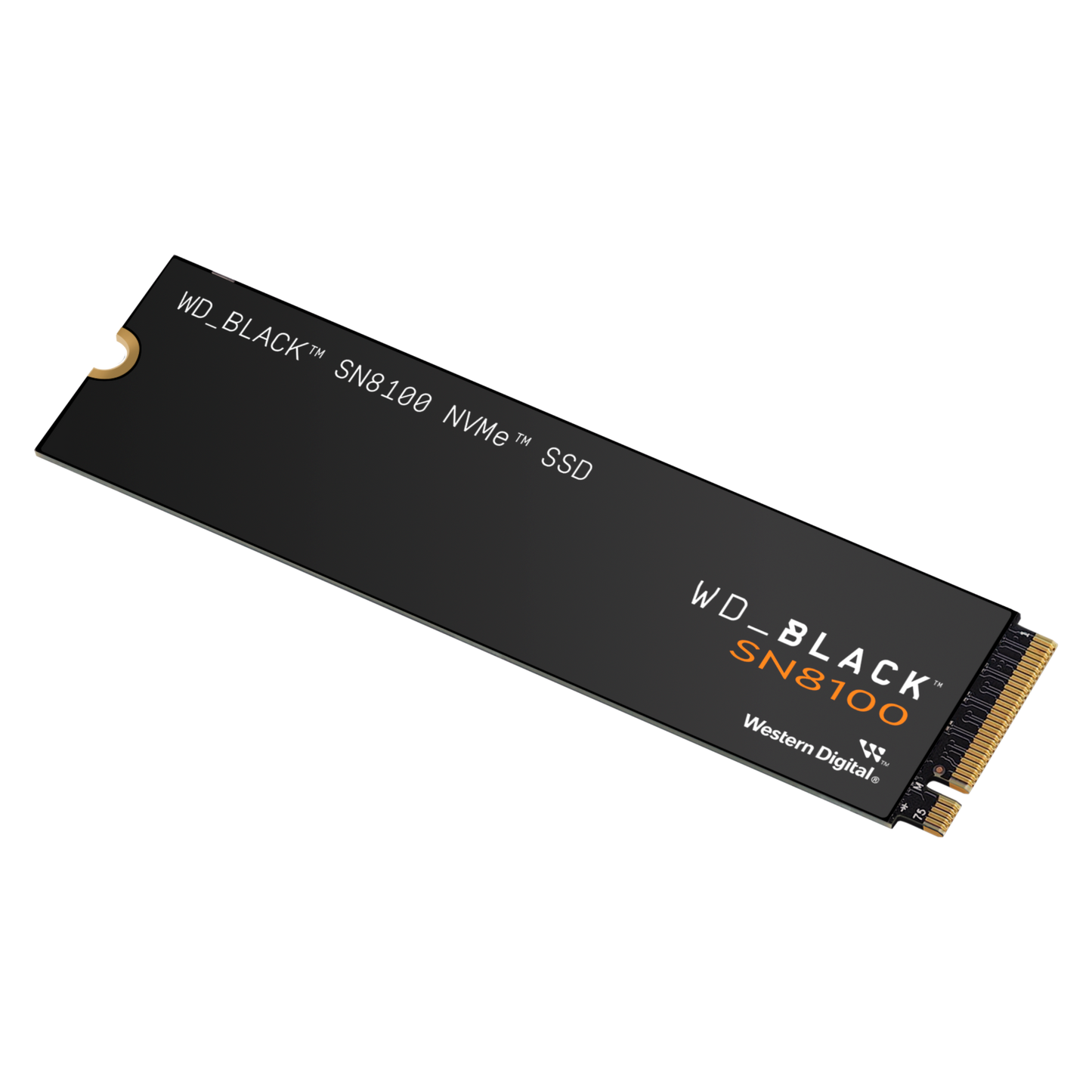 WD_BLACK™ SN8100 NVMe™ Internal SSD (1TB/ 2TB/ 4TB)-Data Storage-futuromic