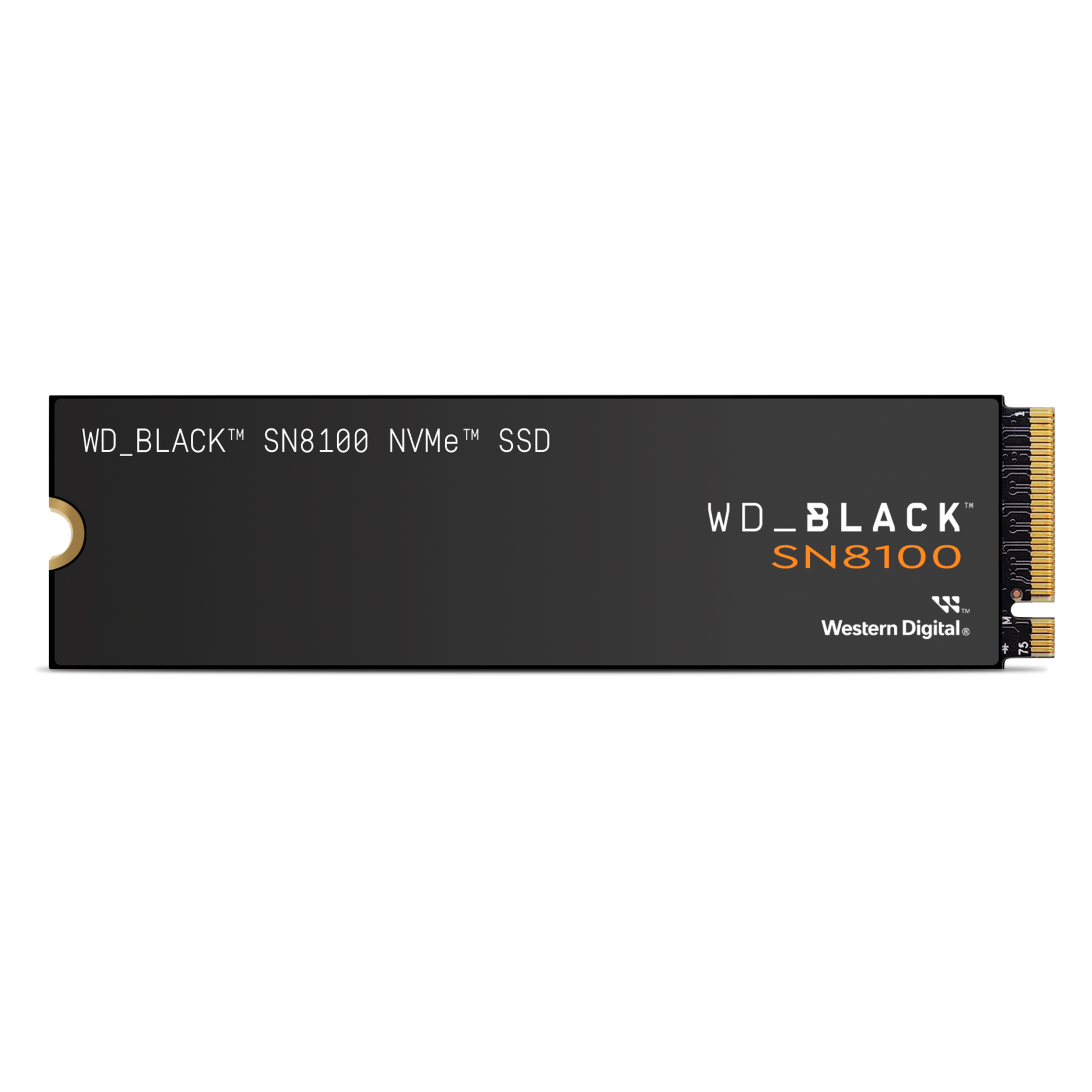 WD_BLACK™ SN8100 NVMe™ Internal SSD (1TB/ 2TB/ 4TB)-Data Storage-futuromic